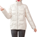 Jaqueta Feminina Puffer Metalizada com Gola